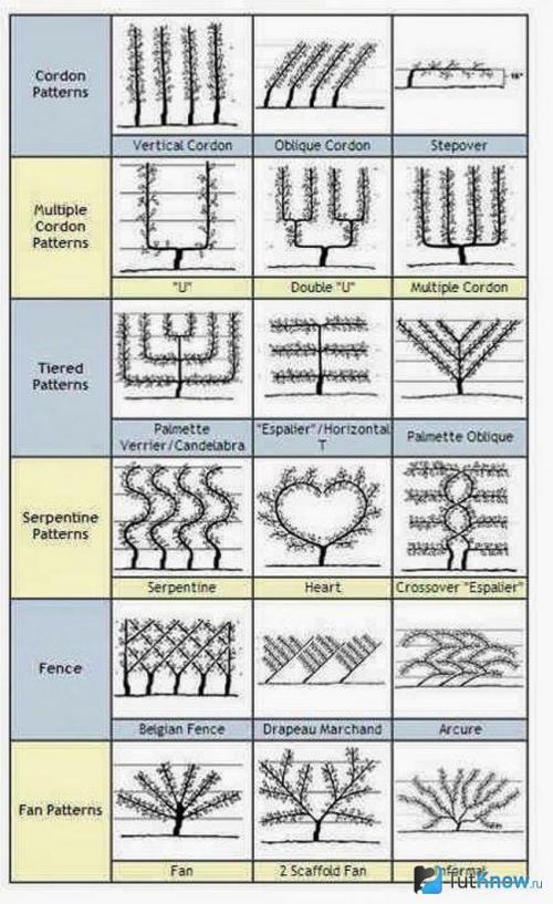 Благоустройство территории 6 соток. Участок 6 соток: примеры планировки и варианты обустройства участка в 6 соток (125 фото) 37 Благоустройство территории 6 соток. Участок 6 соток: примеры планировки и варианты обустройства участка в 6 соток (125 фото) 37