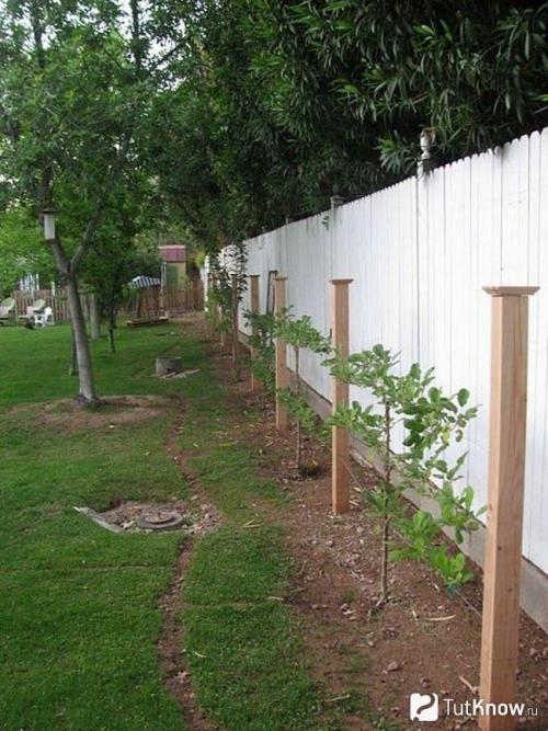 Благоустройство территории 6 соток. Участок 6 соток: примеры планировки и варианты обустройства участка в 6 соток (125 фото) 30 Благоустройство территории 6 соток. Участок 6 соток: примеры планировки и варианты обустройства участка в 6 соток (125 фото) 30
