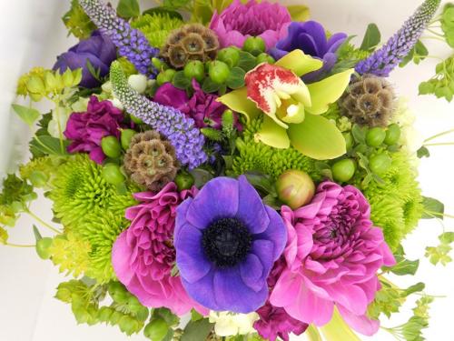 Анемоны на клумбе с другими цветами. Анемоны — секреты выращивания и размножения. Рекомендации по уходу и посадке в открытом грунте (140 фото)