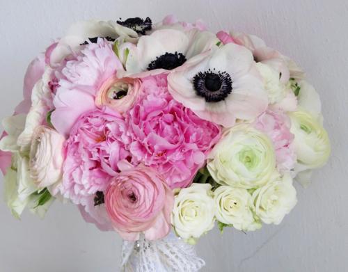 Анемоны на клумбе с другими цветами. Анемоны — секреты выращивания и размножения. Рекомендации по уходу и посадке в открытом грунте (140 фото)