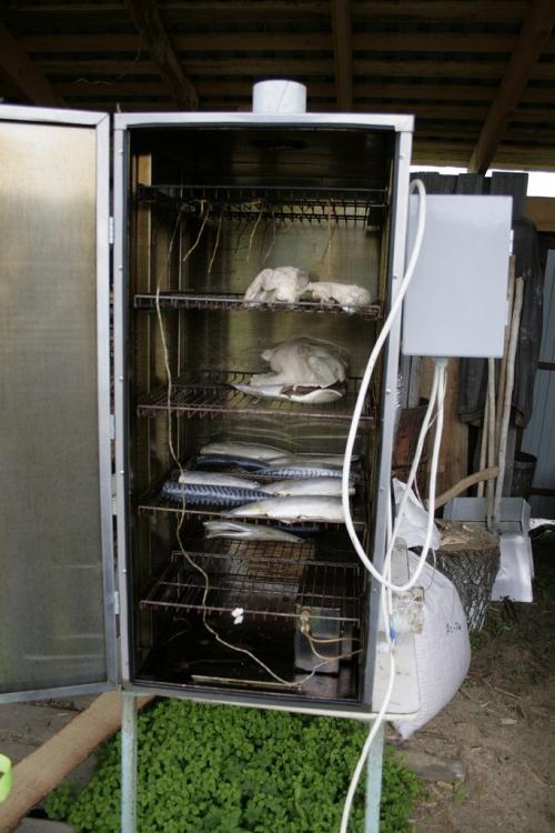 Деревянная коптильня своими руками. Коптильня своими руками — инструкция для начинающих. Как сделать коптильню холодного и горячего копчения?