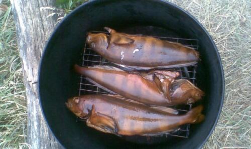 Деревянная коптильня своими руками. Коптильня своими руками — инструкция для начинающих. Как сделать коптильню холодного и горячего копчения?