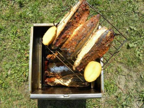 Деревянная коптильня своими руками. Коптильня своими руками — инструкция для начинающих. Как сделать коптильню холодного и горячего копчения?