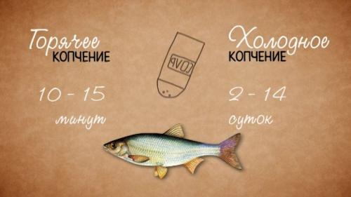 Деревянная коптильня своими руками. Коптильня своими руками — инструкция для начинающих. Как сделать коптильню холодного и горячего копчения?