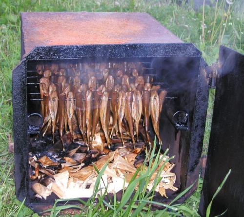 Деревянная коптильня своими руками. Коптильня своими руками — инструкция для начинающих. Как сделать коптильню холодного и горячего копчения?