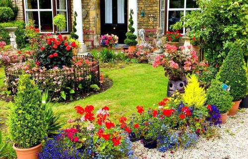 Создание клумбы своими руками пошагово. Этапы создания клумбы в саду (пошагово)