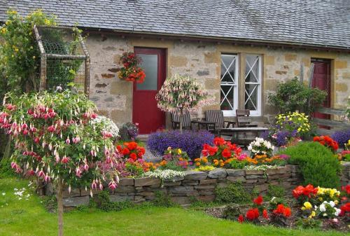 Создание клумбы своими руками пошагово. Этапы создания клумбы в саду (пошагово)