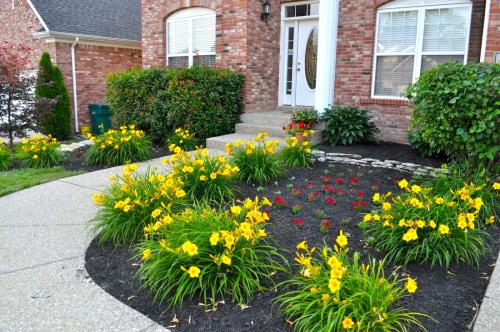 Создание клумбы своими руками пошагово. Этапы создания клумбы в саду (пошагово)