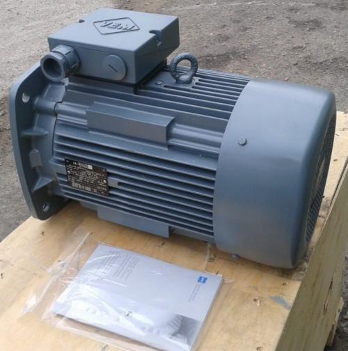 Ремонт бензокосы чемпион своими руками. Конструкция бензокосы 08