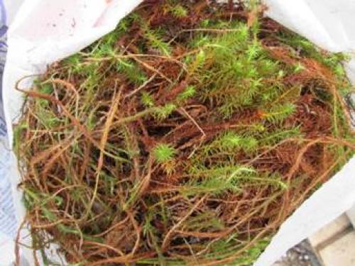 Как заделать трещины в брусе снаружи дома: пошаговая инструкция 04 Как заделать трещины в брусе снаружи дома: пошаговая инструкция 04