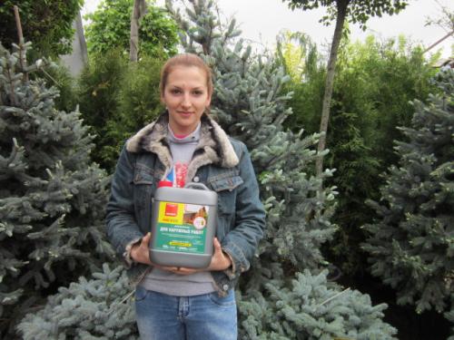 Как я перестал мучиться с трещинами в бревнах: полная инструкция 04