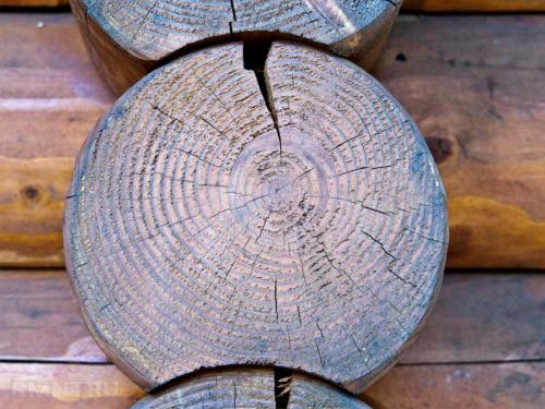 Как я перестал мучиться с трещинами в бревнах: полная инструкция 02