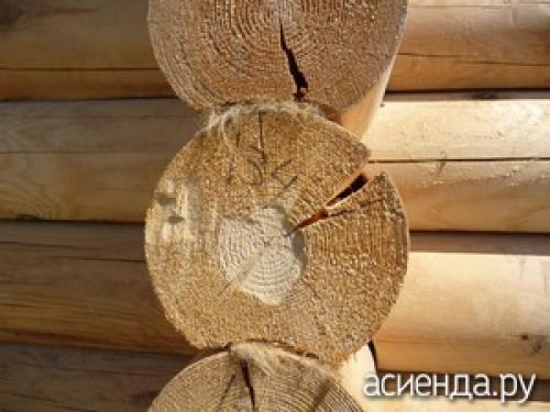 Влияют ли сезонные изменения на появление трещин в бревнах. Почему бревна трескаются и как с этим бороться?
