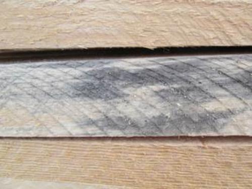 Как я перестал мучиться с трещинами в бревнах: полная инструкция 16