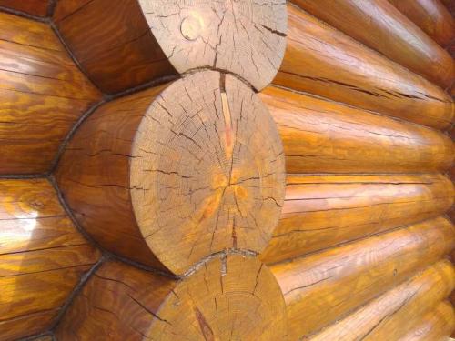 Какие причины появления трещин в бревенчатом срубе наиболее распространены. Трещины в бревнах сруба: причины появления + лучшие методы от эксперта по заделке трещин внутри и снаружи частного дома