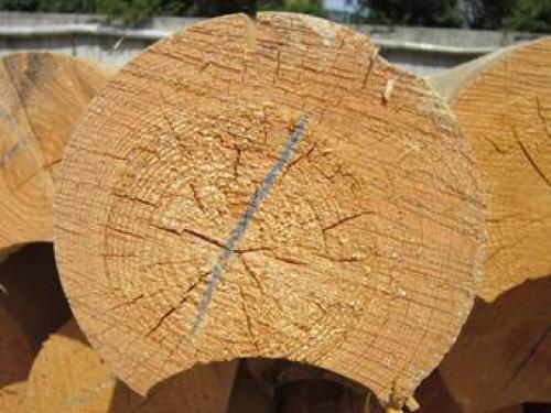 Как я перестал мучиться с трещинами в бревнах: полная инструкция 15