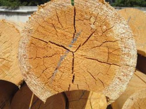 Как я перестал мучиться с трещинами в бревнах: полная инструкция 08