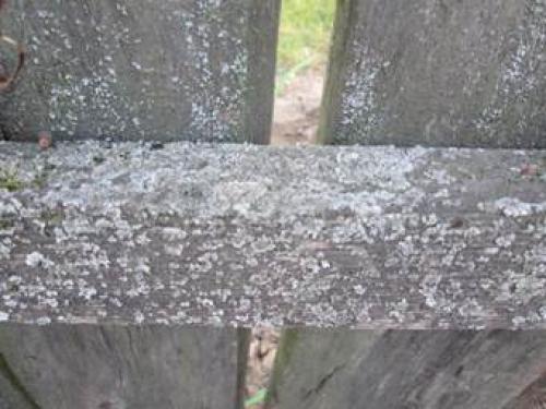 Как я перестал мучиться с трещинами в бревнах: полная инструкция 17