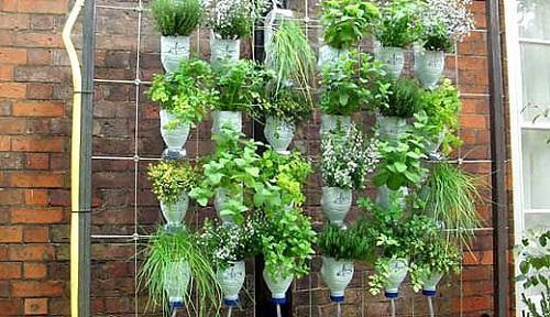 Подвесная клумба из пластиковых бутылок. Подвесные клумбы своими руками