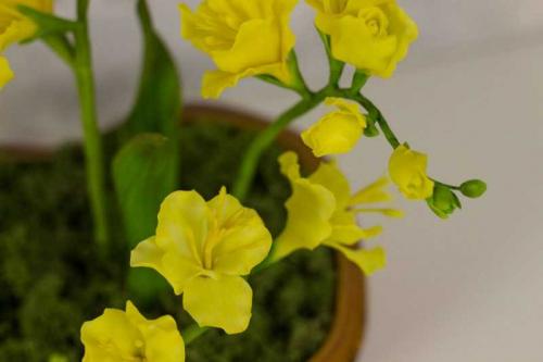 Поделки из полимерной глины своими руками. Поделки из полимерной глины — фото креативных решений создания глиняных поделок в домашних условиях + способы работы для начинающих