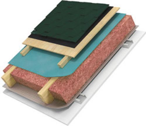 Ондутис виды. Ондутис