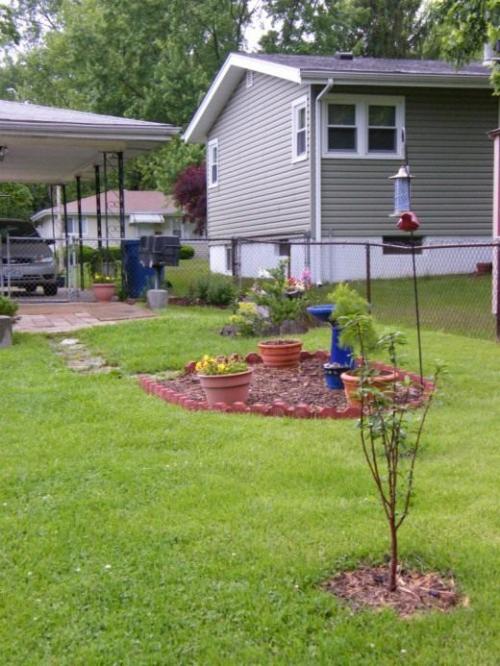 Нужно ли мульчировать почву вокруг саженца. Содержание под черным паром