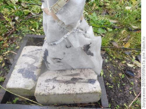 Как защитить молодые деревья и кустарники от морозов после осенней посадки. Укрываем и защищаем молодые деревья