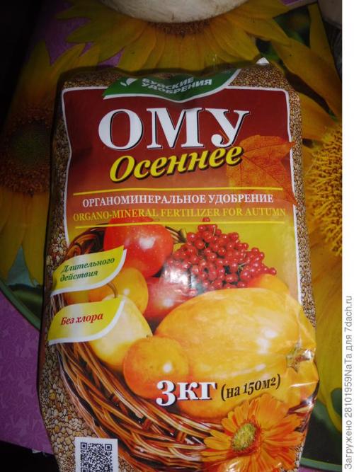 Как защитить молодые деревья и кустарники от морозов после осенней посадки. Укрываем и защищаем молодые деревья