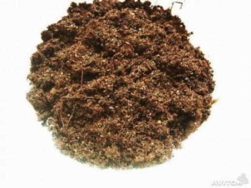 Полное руководство по посадке саженцев деревьев и кустарников 03