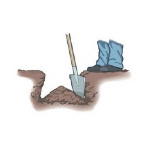 Полное руководство по посадке саженцев деревьев и кустарников 01