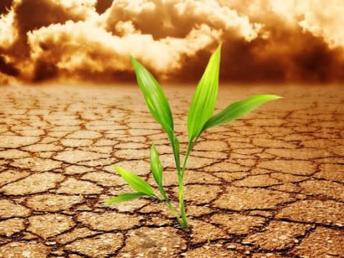 Перестановка в комнате идеи. В большой комнате 13 Перестановка в комнате идеи. В большой комнате 13