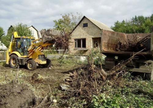 Полное руководство по закладке сада на вашем участке 04