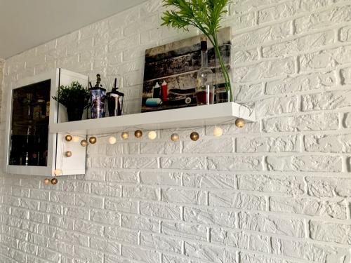 Декоративные кирпичи из гипсовой штукатурки. Стена под кирпич из штукатурки своими руками