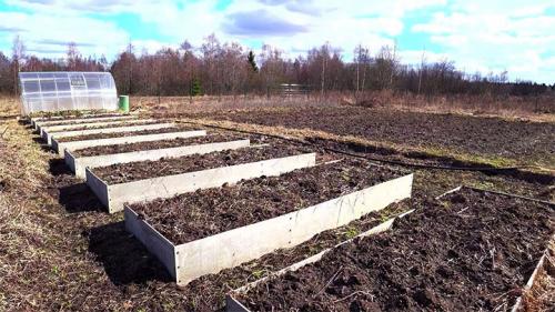 Грядки из плоского шифера минусы. Грядки из шифера - дешевый вид ограждения для культурных растений