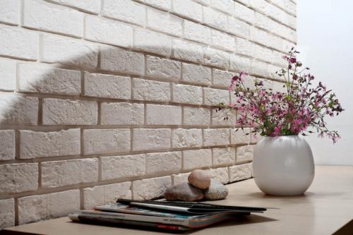 В какой цвет покрасить кирпичную стену. Покраска кирпичной стены своими руками