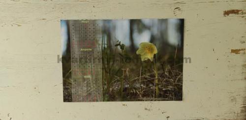 Как сделать кирпичный декор для стены своими руками. Декоративная штукатурка под кирпич своими руками: видео-уроки простых решений 08