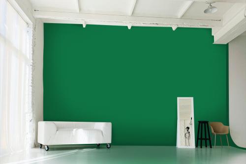 Краска для школьной доски зеленая. Описание