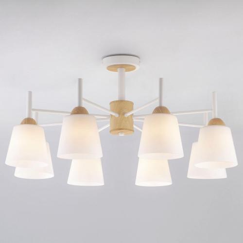 Описание светильника. Виды светильников