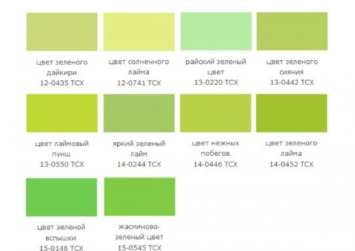 Кухонный гарнитур салатовый цвет. Характеристика салатового цвета и его особенности
