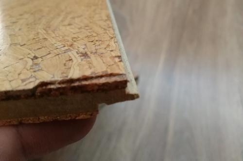 Пробковый пол: плюсы и минусы. Пробковый пол – плюсы и минусы. Отзывы мастера