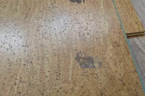 Пробковый пол: плюсы и минусы. Пробковый пол – плюсы и минусы. Отзывы мастера