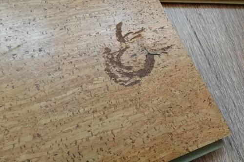 Пробковый пол: плюсы и минусы. Пробковый пол – плюсы и минусы. Отзывы мастера