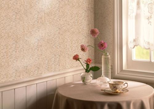 Пробка на стену плюсы и минусы. Пробковые обои для стен: особенности дизайна, виды, фото в интерьере, варианты комбинирования, новинки дизайна