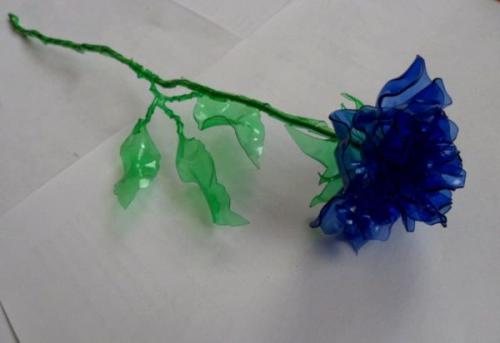 Цветы из прозрачных пластиковых бутылок. Нюансы изготовления поделок своими руками: пошаговая инструкция