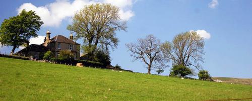 Проекты домов на крутом склоне. Выбор проекта для строительства на склоне