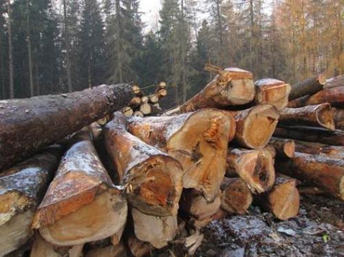 Деревянный дом с цокольным этажом: преимущества и недостатки 02 Деревянный дом с цокольным этажом: преимущества и недостатки 02