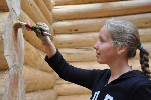 Какой материал более устойчив к повреждениям от насекомых и грибков. Зачем обрабатывать дерево?