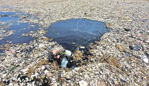 Какие законодательные меры могут быть приняты для снижения выбрасывания пластиковых бутылок. ПЛАСТМАССОВЫЙ МИР ПОБЕДИЛ?