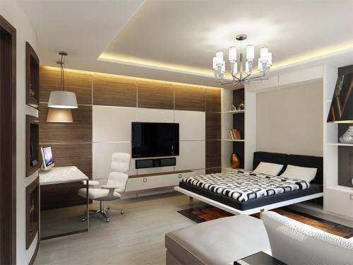 Интерьер зала в однокомнатной квартире. Особенности интерьера однокомнатной квартиры