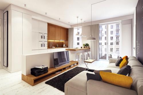 Интерьер зала в однокомнатной квартире. Особенности интерьера однокомнатной квартиры